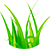 Злаки
